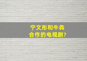 宁文彤和牛犇合作的电视剧?