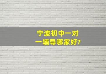 宁波初中一对一辅导哪家好?