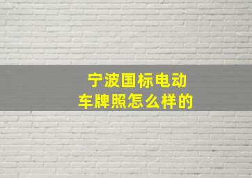 宁波国标电动车牌照怎么样的