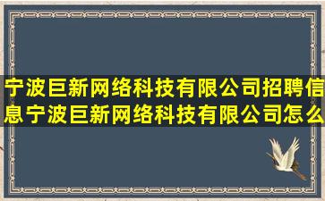 宁波巨新网络科技有限公司招聘信息,宁波巨新网络科技有限公司怎么样?