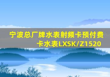 宁波总厂牌水表射频卡预付费卡水表LXSK/Z1520