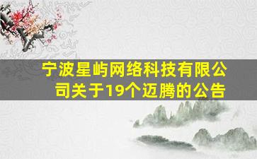 宁波星屿网络科技有限公司关于19个迈腾的公告