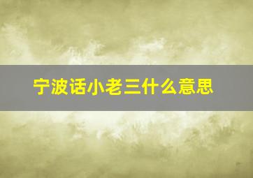 宁波话小老三什么意思