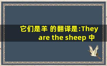 它们是羊 的翻译是:They are the sheep 中文翻译英文意思,翻译英语