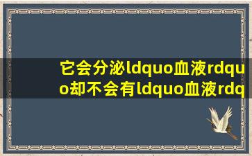 它会分泌“血液”,却不会有“血液”的味道,你们认识这种植物吗