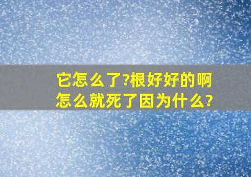 它怎么了?根好好的啊,怎么就死了,因为什么?