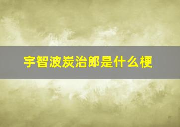 宇智波炭治郎是什么梗