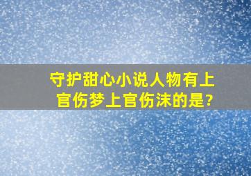 守护甜心小说人物有上官伤梦、上官伤沫的是?