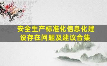 安全生产标准化信息化建设存在问题及建议合集 