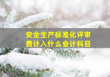 安全生产标准化评审费计入什么会计科目