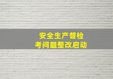 安全生产督检考问题整改启动