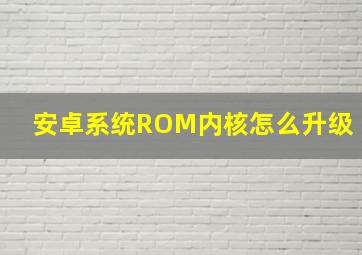 安卓系统ROM内核怎么升级