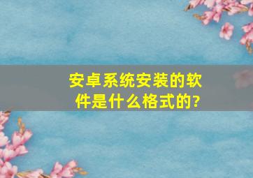 安卓系统安装的软件是什么格式的?