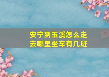 安宁到玉溪怎么走去哪里坐车有几班((