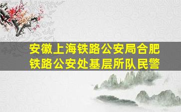 安徽上海铁路公安局合肥铁路公安处基层所队民警