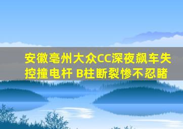 安徽亳州大众CC深夜飙车失控撞电杆 B柱断裂惨不忍睹