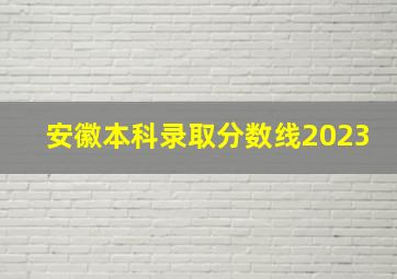 安徽本科录取分数线2023