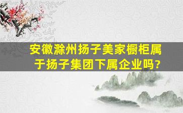 安徽滁州扬子美家橱柜属于扬子集团下属企业吗?