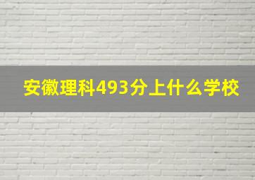 安徽理科493分,上什么学校