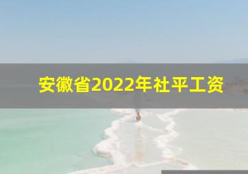 安徽省2022年社平工资