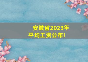 安徽省2023年平均工资公布! 