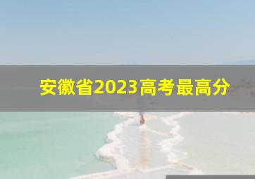 安徽省2023高考最高分