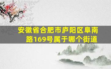 安徽省合肥市庐阳区阜南路169号属于哪个街道(