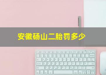 安徽砀山二胎罚多少