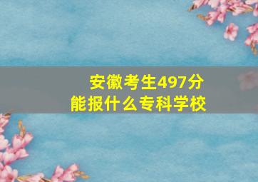 安徽考生497分能报什么专科学校