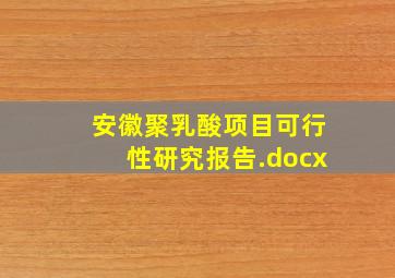 安徽聚乳酸项目可行性研究报告.docx