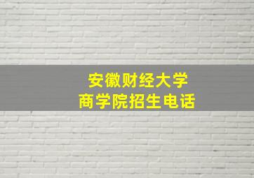 安徽财经大学商学院招生电话