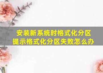 安装新系统时格式化分区提示格式化分区失败怎么办