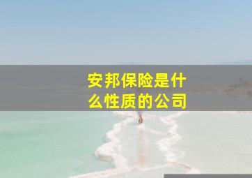 安邦保险是什么性质的公司