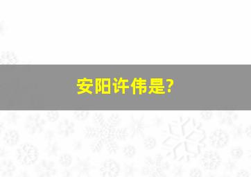 安阳许伟是?