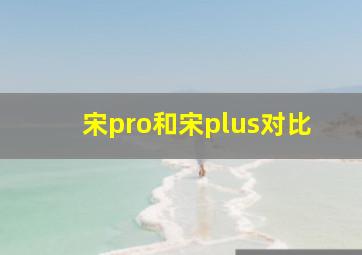 宋pro和宋plus对比