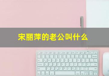 宋丽萍的老公叫什么