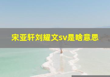 宋亚轩刘耀文sv是啥意思(