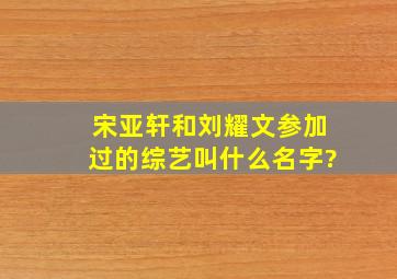 宋亚轩和刘耀文参加过的综艺叫什么名字?