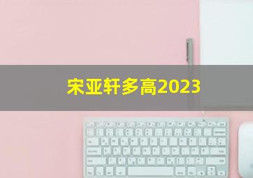 宋亚轩多高2023