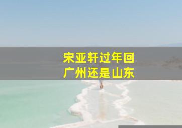 宋亚轩过年回广州还是山东