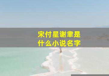 宋付星谢聿是什么小说名字