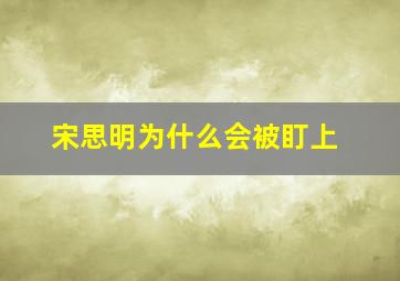 宋思明为什么会被盯上