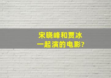 宋晓峰和贾冰一起演的电影?