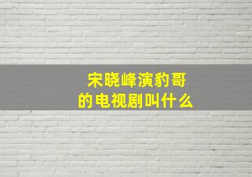 宋晓峰演豹哥的电视剧叫什么