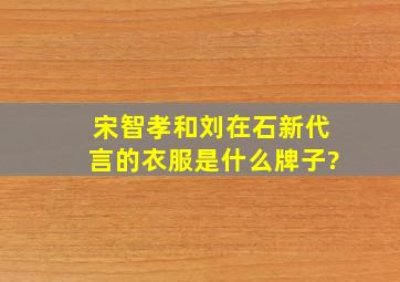 宋智孝和刘在石新代言的衣服是什么牌子?