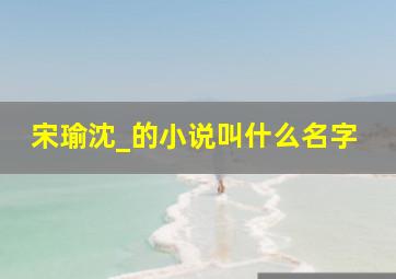 宋瑜沈_的小说叫什么名字