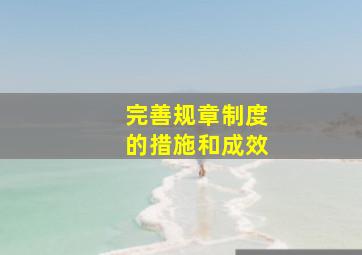 完善规章制度的措施和成效