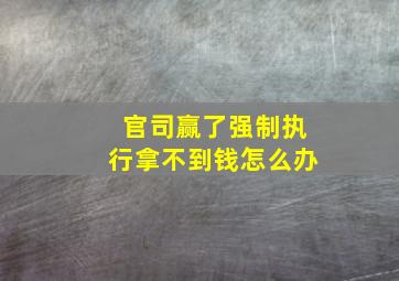 官司赢了强制执行拿不到钱怎么办