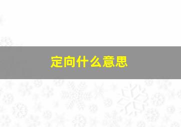 定向什么意思