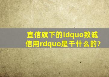 宜信旗下的“致诚信用”是干什么的?